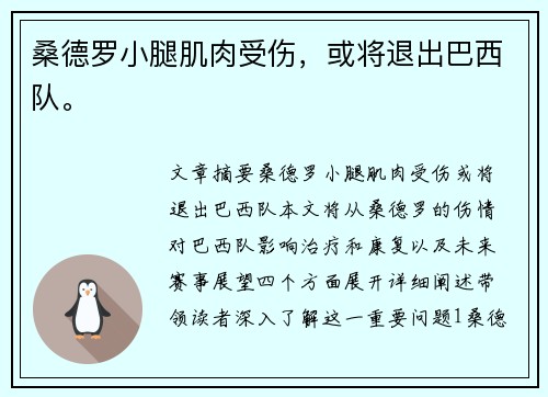 桑德罗小腿肌肉受伤，或将退出巴西队。
